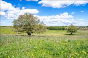 Tottenham Estate Property  - Country Homes for sale and Luxury Real Estate in Caledon and King City including Horse Farms and Property for sale near Toronto