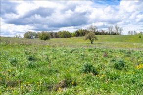 Tottenham Estate Property , Ontario - Country homes for sale and luxury real estate including horse farms and property in the Caledon and King City areas near Toronto