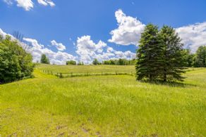 50 Acres in Erin, Ontario - Country homes for sale and luxury real estate including horse farms and property in the Caledon and King City areas near Toronto