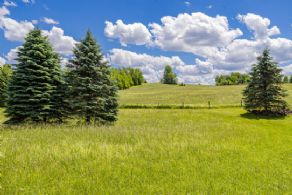 50 Acres in Erin, Ontario - Country homes for sale and luxury real estate including horse farms and property in the Caledon and King City areas near Toronto