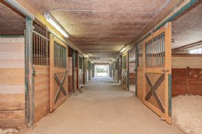 Hammerfield Farm, King, Ontario - Country homes for sale and luxury real estate including horse farms and property in the Caledon and King City areas near Toronto
