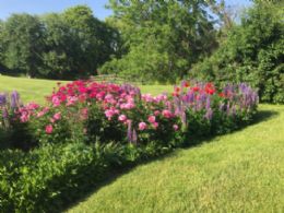 Hammerfield Farm, King, Ontario - Country homes for sale and luxury real estate including horse farms and property in the Caledon and King City areas near Toronto