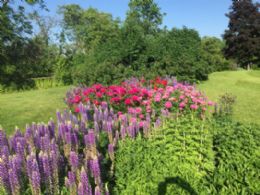 Hammerfield Farm, King, Ontario - Country homes for sale and luxury real estate including horse farms and property in the Caledon and King City areas near Toronto