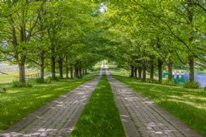 100-acre Creemore Estate, Creemore, ON - Country homes for sale and luxury real estate including horse farms and property in the Caledon and King City areas near Toronto