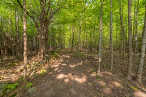 The McEachern Farm, Caledon, Ontario - Country homes for sale and luxury real estate including horse farms and property in the Caledon and King City areas near Toronto
