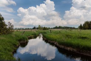 Brook Forest Farm, East Garafraxa, Ontario - Country homes for sale and luxury real estate including horse farms and property in the Caledon and King City areas near Toronto