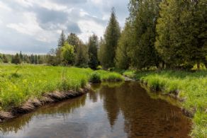 Brook Forest Farm, East Garafraxa, Ontario - Country homes for sale and luxury real estate including horse farms and property in the Caledon and King City areas near Toronto