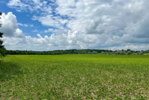 Brook Forest Farm, East Garafraxa, Ontario - Country homes for sale and luxury real estate including horse farms and property in the Caledon and King City areas near Toronto