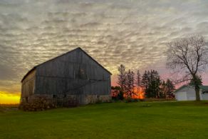 Brook Forest Farm, East Garafraxa, Ontario - Country homes for sale and luxury real estate including horse farms and property in the Caledon and King City areas near Toronto
