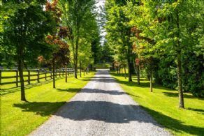 Renovated Vandorf Country Home, Whitchurch-Stouffville, Ontario - Country homes for sale and luxury real estate including horse farms and property in the Caledon and King City areas near Toronto