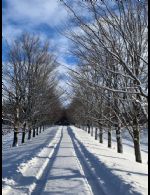 100-acre Creemore Estate, Creemore, ON - Country homes for sale and luxury real estate including horse farms and property in the Caledon and King City areas near Toronto