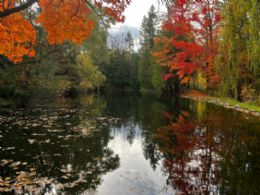 Sleepy Hollow Farm, Mono, Ontario - Country homes for sale and luxury real estate including horse farms and property in the Caledon and King City areas near Toronto