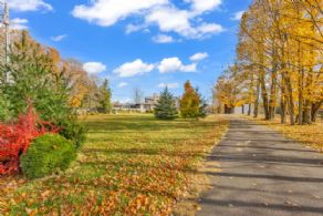 Tree-lined Driveway - Country homes for sale and luxury real estate including horse farms and property in the Caledon and King City areas near Toronto