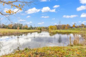 Swimming/skating Pond - Country homes for sale and luxury real estate including horse farms and property in the Caledon and King City areas near Toronto
