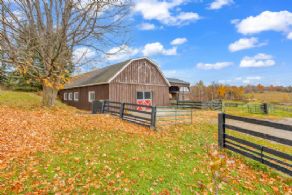 Barn - Country homes for sale and luxury real estate including horse farms and property in the Caledon and King City areas near Toronto