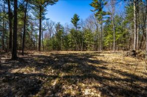 Cleared Part of the Lot - Country homes for sale and luxury real estate including horse farms and property in the Caledon and King City areas near Toronto
