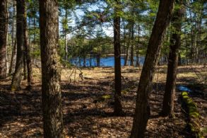 24 Webber Island, Georgian Bay, Ontario - Country homes for sale and luxury real estate including horse farms and property in the Caledon and King City areas near Toronto