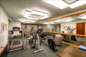 Home Gym - Country homes for sale and luxury real estate including horse farms and property in the Caledon and King City areas near Toronto