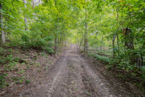 Original Woodrow Homestead , Oro-Medonte, Ontario - Country homes for sale and luxury real estate including horse farms and property in the Caledon and King City areas near Toronto