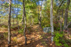 Kindersley Island, Cognashene, Ontario - Country homes for sale and luxury real estate including horse farms and property in the Caledon and King City areas near Toronto