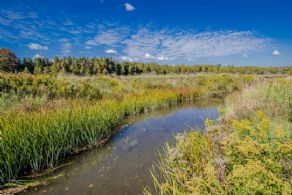 125 Acre Farm, Adjala, Adjala-Tosorontio, Ontario - Country homes for sale and luxury real estate including horse farms and property in the Caledon and King City areas near Toronto