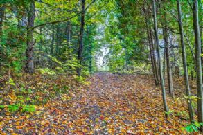 Caledon Log Cabin, Ontario - Country homes for sale and luxury real estate including horse farms and property in the Caledon and King City areas near Toronto