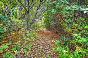 Caledon Estate Lot, Ontario - Country homes for sale and luxury real estate including horse farms and property in the Caledon and King City areas near Toronto