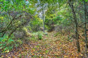 Caledon Estate Lot, Ontario - Country homes for sale and luxury real estate including horse farms and property in the Caledon and King City areas near Toronto