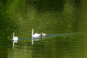 Apple Ridge, Caledon, Ontario - Country homes for sale and luxury real estate including horse farms and property in the Caledon and King City areas near Toronto