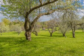 Orchard - Country homes for sale and luxury real estate including horse farms and property in the Caledon and King City areas near Toronto