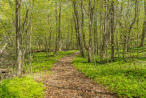 Trails - Country homes for sale and luxury real estate including horse farms and property in the Caledon and King City areas near Toronto