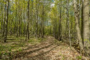 Trails - Country homes for sale and luxury real estate including horse farms and property in the Caledon and King City areas near Toronto