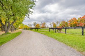 Caledon Training Centre, Caledon, Ontario - Country homes for sale and luxury real estate including horse farms and property in the Caledon and King City areas near Toronto