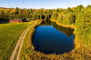 A Sanctuary for the Sky Bound, Port Hope, Ontario - Country homes for sale and luxury real estate including horse farms and property in the Caledon and King City areas near Toronto