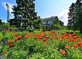 Napier Simpson, Caledon - Country Homes for sale and Luxury Real Estate in Caledon and King City including Horse Farms and Property for sale near Toronto