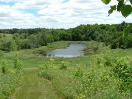  - Country homes for sale and luxury real estate including horse farms and property in the Caledon and King City areas near Toronto