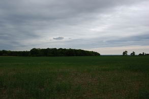  - Country homes for sale and luxury real estate including horse farms and property in the Caledon and King City areas near Toronto