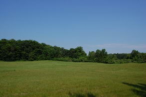  - Country homes for sale and luxury real estate including horse farms and property in the Caledon and King City areas near Toronto