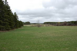 Kettleby Horse Farm - Country Homes for sale and Luxury Real Estate in Caledon and King City including Horse Farms and Property for sale near Toronto