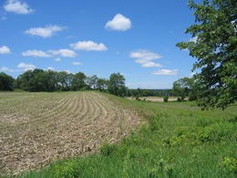  - Country homes for sale and luxury real estate including horse farms and property in the Caledon and King City areas near Toronto