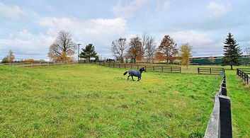 Kingsboro Equestrian - Country homes for sale and luxury real estate including horse farms and property in the Caledon and King City areas near Toronto