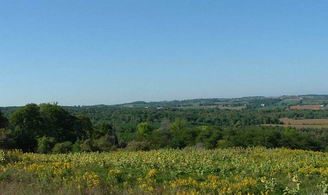 Happy Valley Forest, King - Country Homes for sale and Luxury Real Estate in Caledon and King City including Horse Farms and Property for sale near Toronto