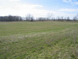 30 Acres, Caledon, Caledon - Country homes for sale and luxury real estate including horse farms and property in the Caledon and King City areas near Toronto