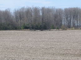 Country homes for sale and luxury real estate including horse farms and property in the Caledon and King City areas near Toronto