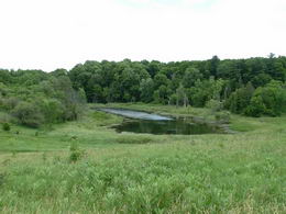 Ponds, Meadows, Vistas - Country Homes for sale and Luxury Real Estate in Caledon and King City including Horse Farms and Property for sale near Toronto
