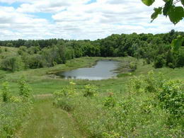 Ponds, Meadows, Vistas, King Township - Country homes for sale and luxury real estate including horse farms and property in the Caledon and King City areas near Toronto
