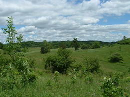 Ponds, Meadows, Vistas, King Township - Country homes for sale and luxury real estate including horse farms and property in the Caledon and King City areas near Toronto