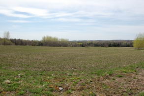 Yonge St. Lands - Innisfil, Innisfil - Country homes for sale and luxury real estate including horse farms and property in the Caledon and King City areas near Toronto