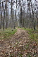 Yonge St. Lands - Innisfil - Country Homes for sale and Luxury Real Estate in Caledon and King City including Horse Farms and Property for sale near Toronto