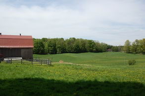 View of Property - Country homes for sale and luxury real estate including horse farms and property in the Caledon and King City areas near Toronto